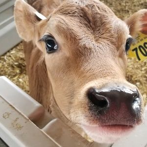 Meet your Posher, Marcy